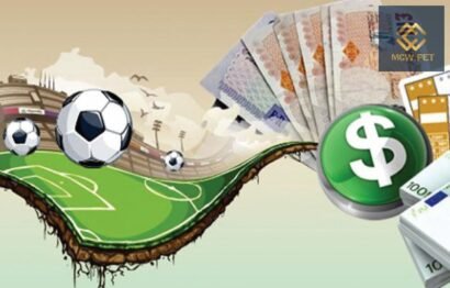 Cá cược đá banh